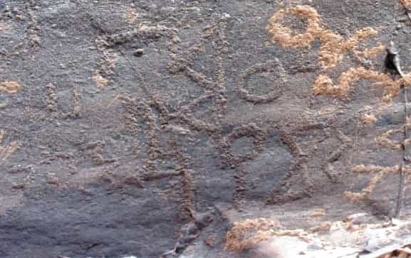 الشرعي ساقتين 5